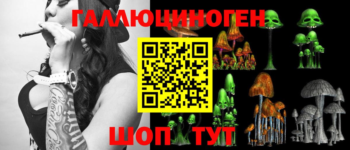Галлюциногенные грибы Cubensis Малоярославец